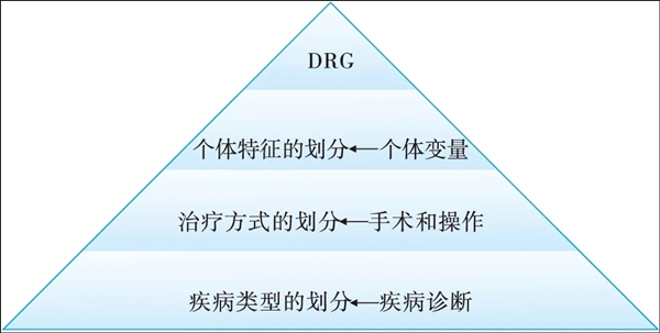 圖1 DRG分組方案